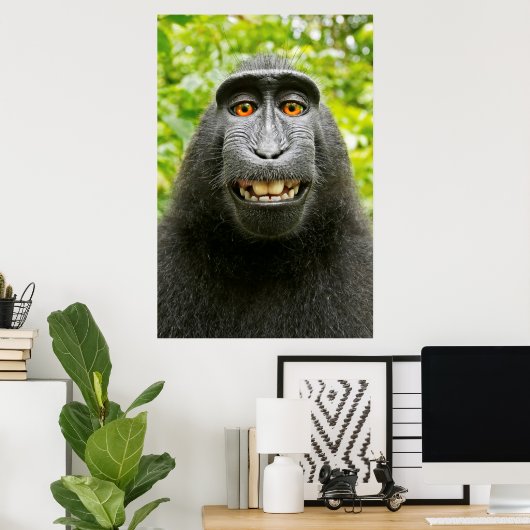 Monkey Selfie Poster (Thuiskantoor)