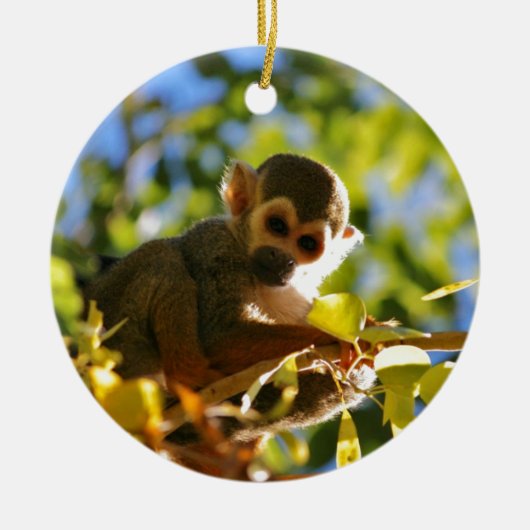 Monkey Shines Keramisch Ornament (Voorkant)