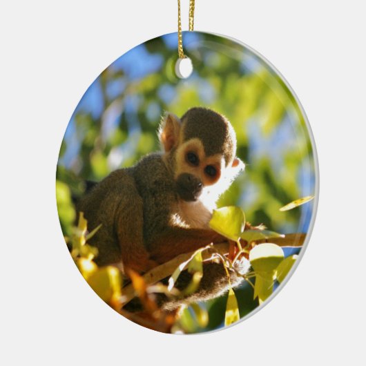 Monkey Shines Keramisch Ornament (Links)