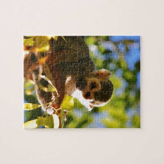 Monkey Shines Legpuzzel (Horizontaal)
