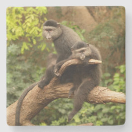 Monkey Square onderzetter