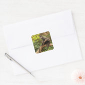 Monkey Square Sticker (Envelop)