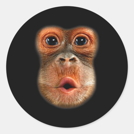 Monkey Stomach Funny Meme Cool Viral Video Ronde Sticker (Voorkant)
