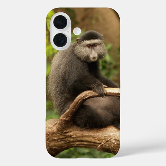 Monkey telefoon Case (Achterkant)