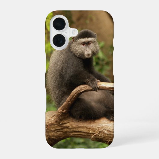 Monkey telefoon Case iPhone 16 Hoesje (Achterkant)
