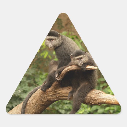 Monkey Triangle Sticker (Voorkant)