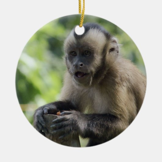 Monkey-versiering afspelen keramisch ornament (Voorkant)