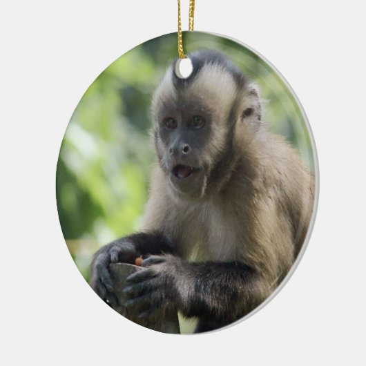 Monkey-versiering afspelen keramisch ornament (Links)