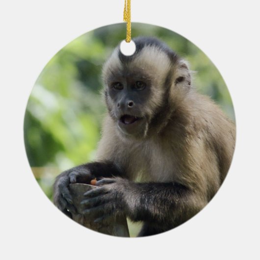 Monkey-versiering afspelen keramisch ornament (Achterkant)