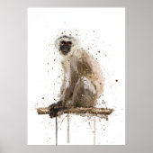 Monkey Vervet Poster (Voorkant)