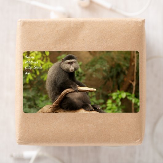Monkey verzendlabel (Insitu)
