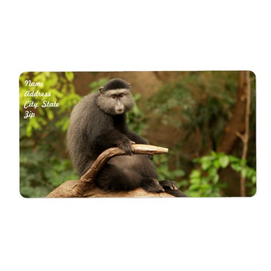 Monkey verzendlabel (Voorkant)