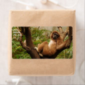 Monkey verzendlabel (Insitu)