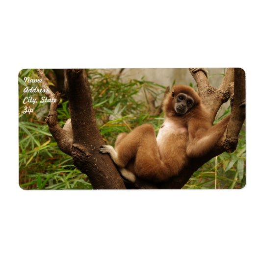 Monkey verzendlabel (Voorkant)