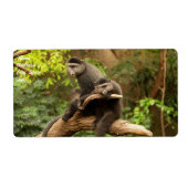 Monkey verzendlabel (Voorkant)