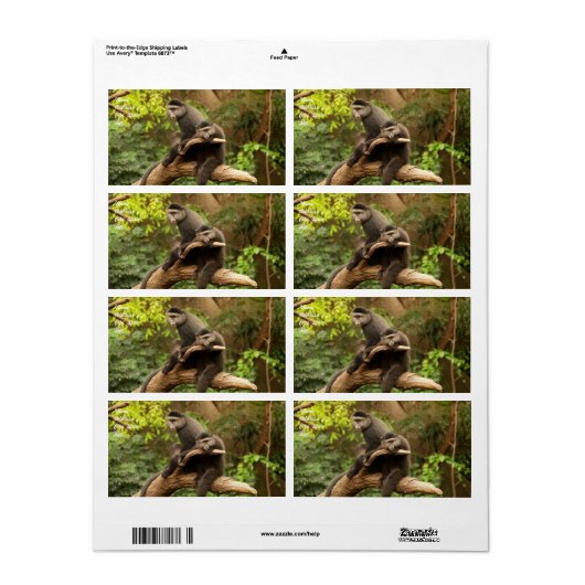 Monkey verzendlabel (Full Sheet)