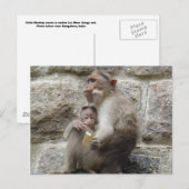 Monkey wil een koekje briefkaart (Voorkant / Achterkant)