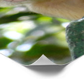 Monkey zie... poster (Hoek)