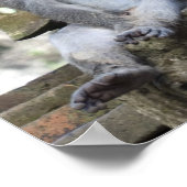 Monkey zit in een standbeeld op Bali Poster (Hoek)