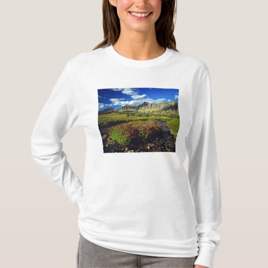Monkeybloemen op Logan Pass in Glacier National T-shirt (Voorkant)