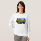 Monkeybloemen op Logan Pass in Glacier National T-shirt (Voorkant volledig)