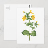 monkeyflower (Mimulus sp.) door Redouté Briefkaart (Voorkant / Achterkant)