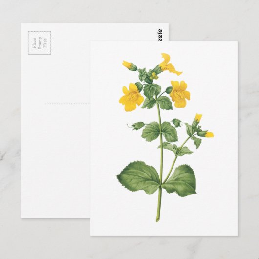 monkeyflower (Mimulus sp.) door Redouté Briefkaart (Voorkant / Achterkant)
