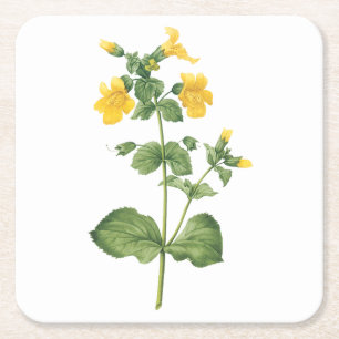 monkeyflower (Mimulus sp.) door Redouté Kartonnen Onderzetters