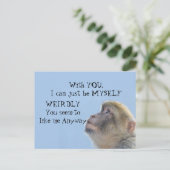 Monkeying rond groet briefkaart (Staand voorkant)