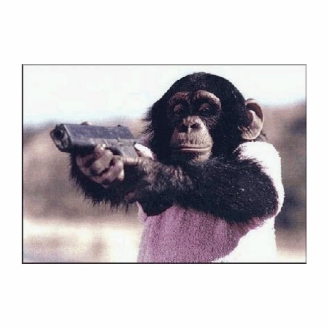 Monkeypistolnewon Staand Fotobeeldje (Voorkant)