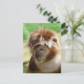 MONKEYS BRIEFKAART (Staand voorkant)