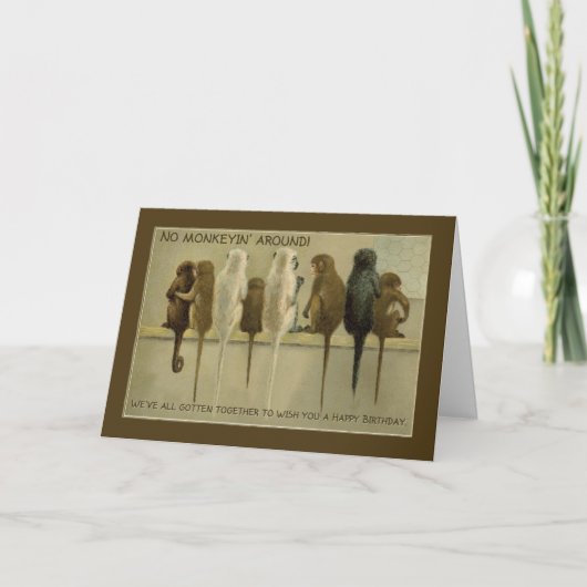 Monkeys Business Birthday van groep, Humor Kaart (Voorkant)