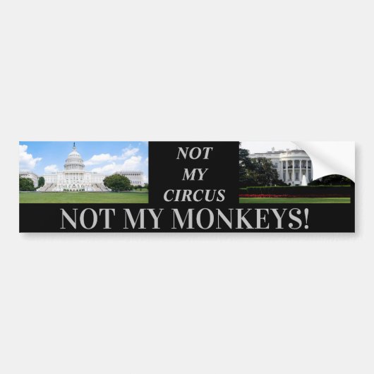 MONKEYS D.C Bumpersticker (Voorkant)