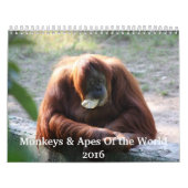 Monkeys en apen van de World 2016 Calendar Kalender (Hoes)
