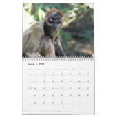 Monkeys en apen van de World 2016 Calendar Kalender (Mar 2027)