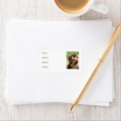 MONKEYS ETIKET (Insitu)