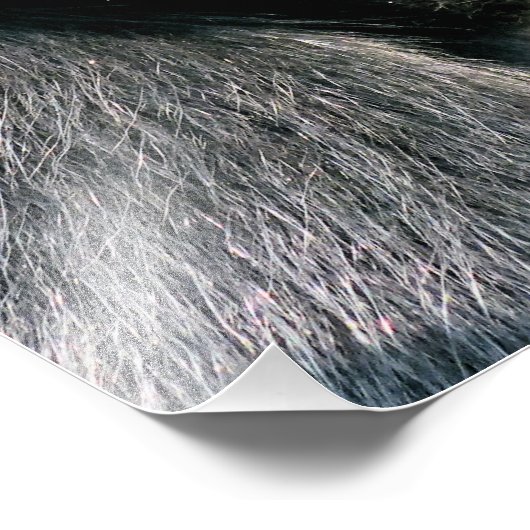 MONKEYS FOTO AFDRUK (Hoek)