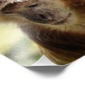 MONKEYS FOTO AFDRUK (Hoek)