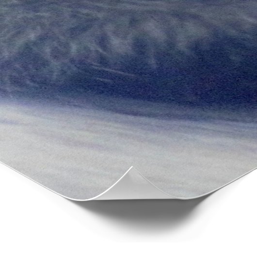 Monkeys Foto Poster (Hoek)