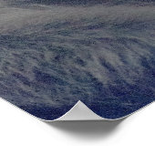 Monkeys Foto Poster (Hoek)