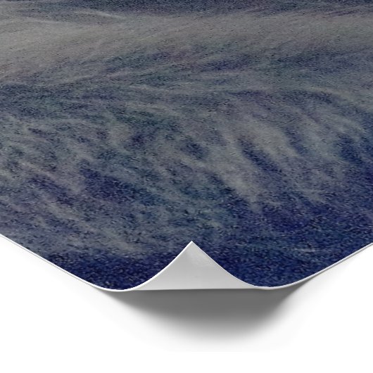 Monkeys Foto Poster (Hoek)