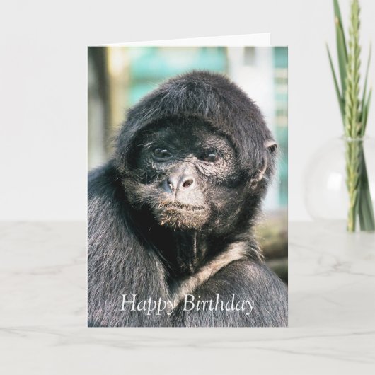 MONKEYS KAART (Voorkant)