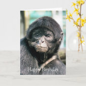 MONKEYS KAART (Gele Bloem)