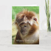 MONKEYS KAART (Voorkant)