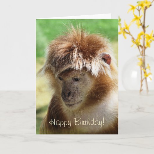 MONKEYS KAART (Gele Bloem)