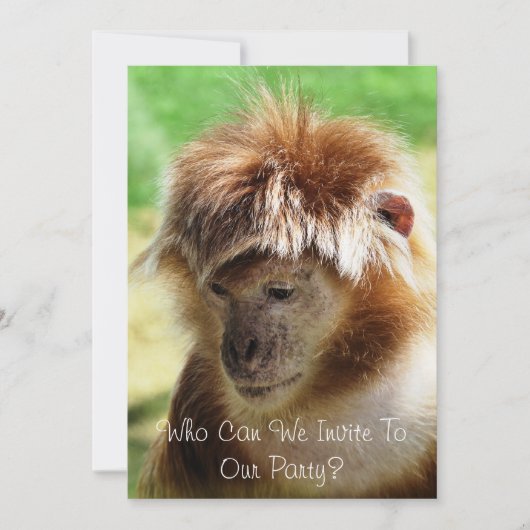 MONKEYS KAART (Voorkant)