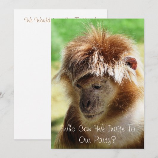 MONKEYS KAART (Voorkant / Achterkant)