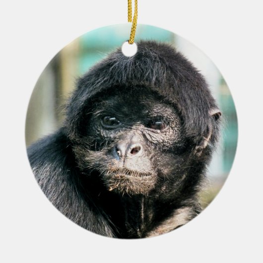 MONKEYS KERAMISCH ORNAMENT (Voorkant)