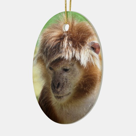 MONKEYS KERAMISCH ORNAMENT (Links)