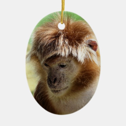 MONKEYS KERAMISCH ORNAMENT (Voorkant)